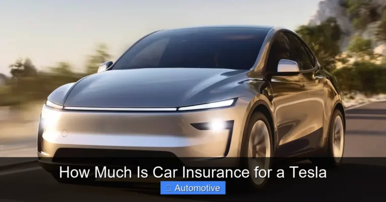 How Much Is Car Insurance for a Tesla