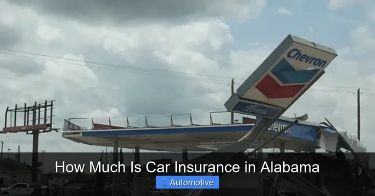 How Much Is Car Insurance in Alabama