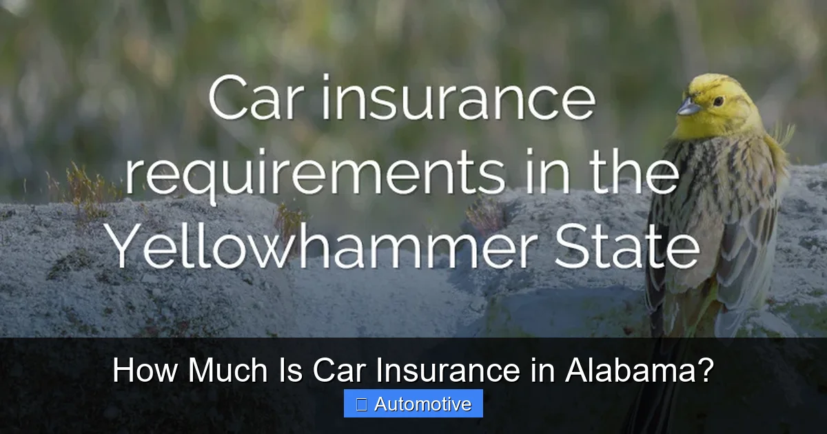 How Much Is Car Insurance in Alabama?