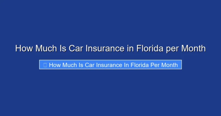 How Much Is Car Insurance in Florida per Month