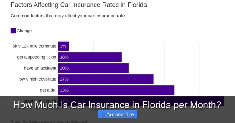 How Much Is Car Insurance in Florida per Month?