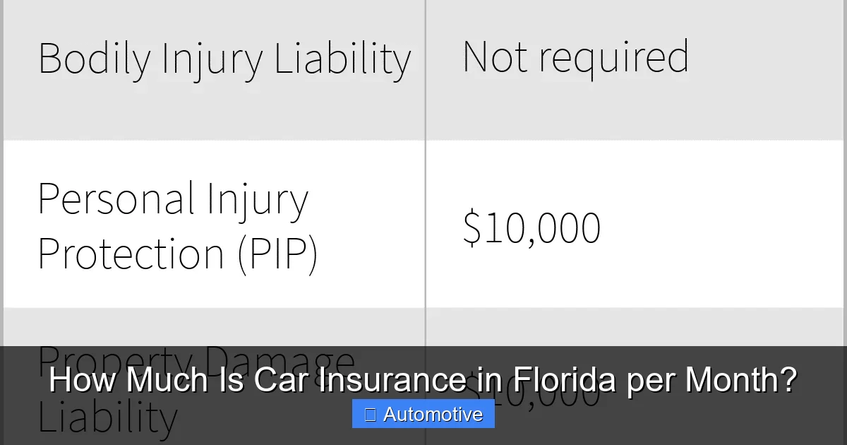How Much Is Car Insurance in Florida per Month?