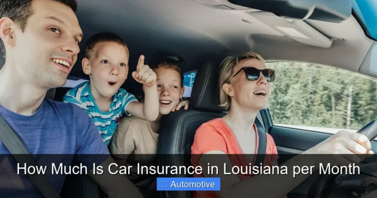 How Much Is Car Insurance in Louisiana per Month