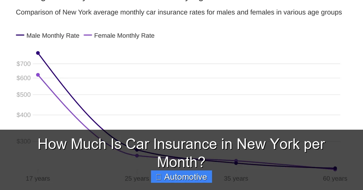How Much Is Car Insurance in New York per Month?