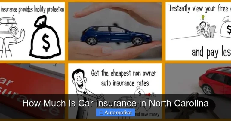 How Much Is Car Insurance in North Carolina