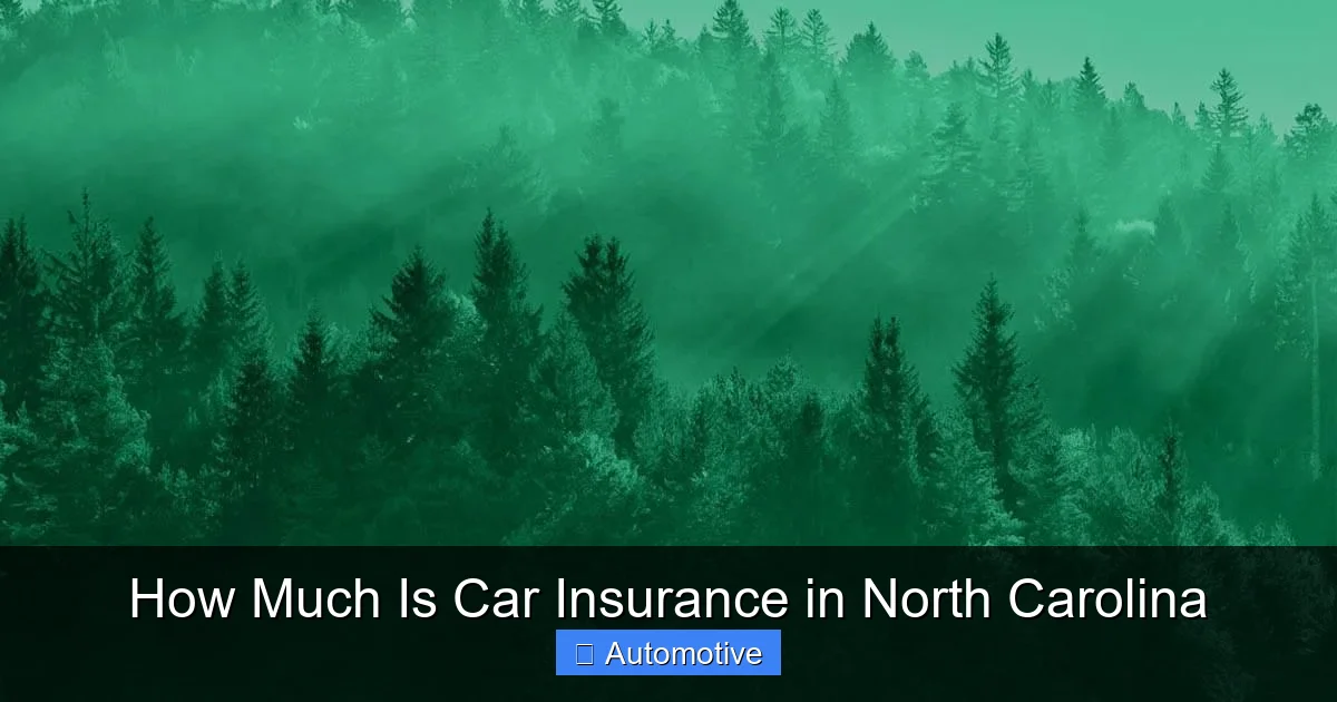 How Much Is Car Insurance in North Carolina
