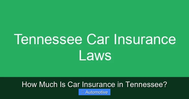 How Much Is Car Insurance in Tennessee?