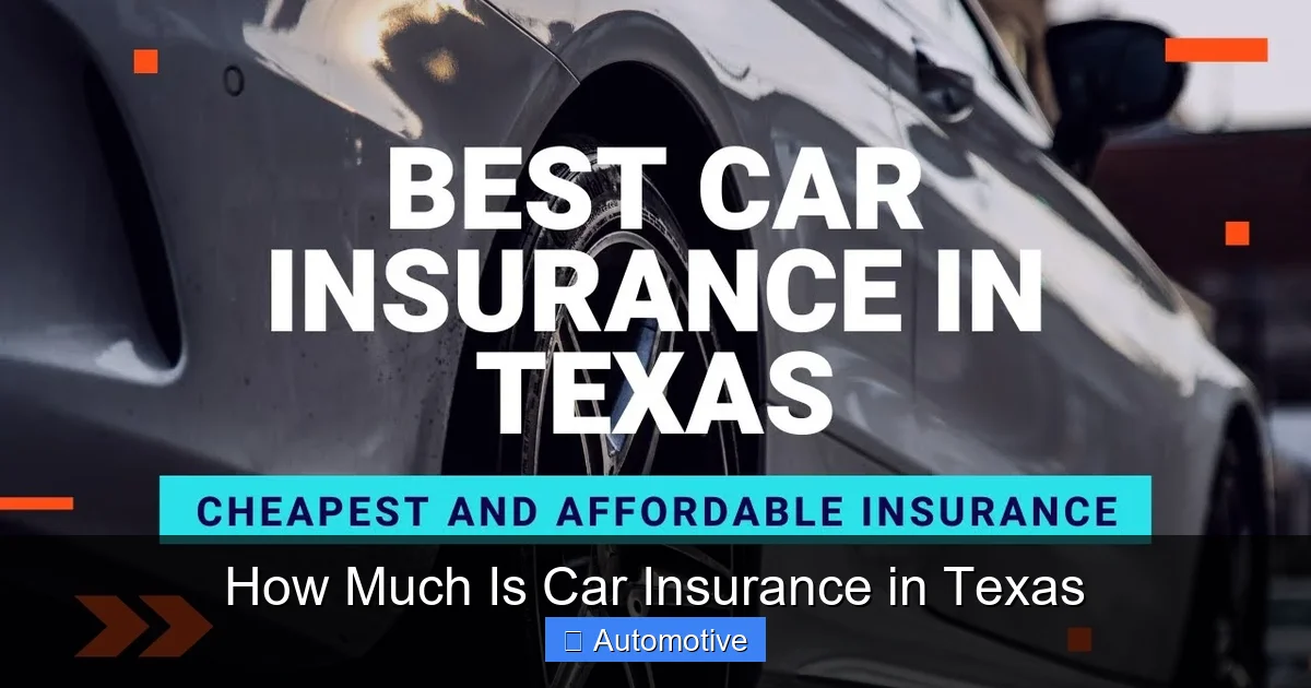 How Much Is Car Insurance in Texas