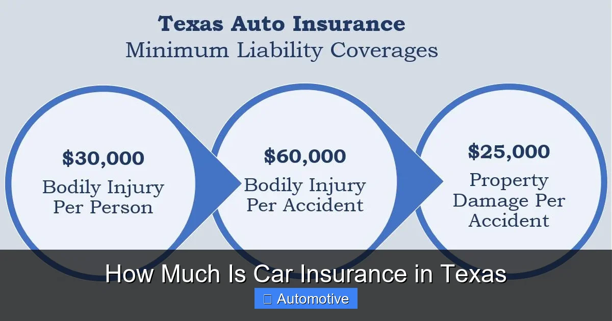 How Much Is Car Insurance in Texas