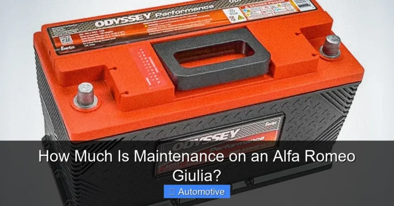 How Much Is Maintenance on an Alfa Romeo Giulia?