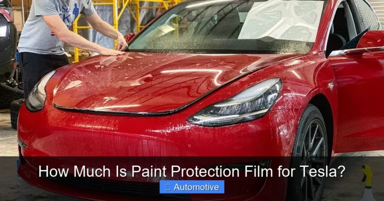 How Much Is Paint Protection Film for Tesla?
