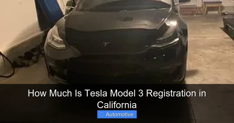 How Much Is Tesla Model 3 Registration in California
