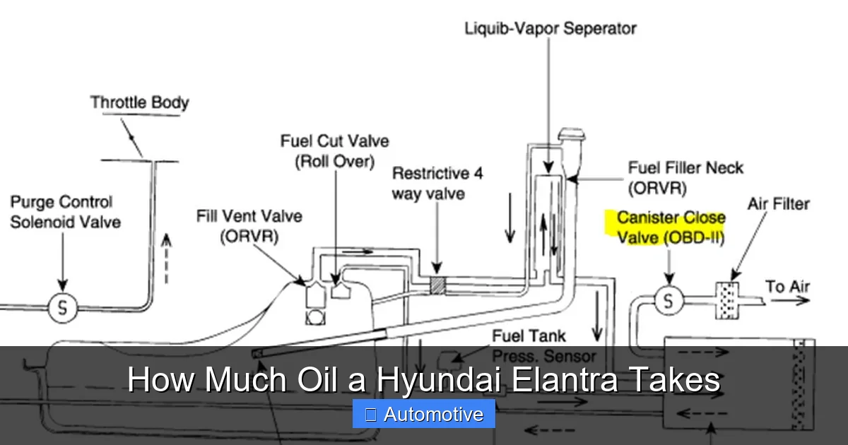 How Much Oil a Hyundai Elantra Takes