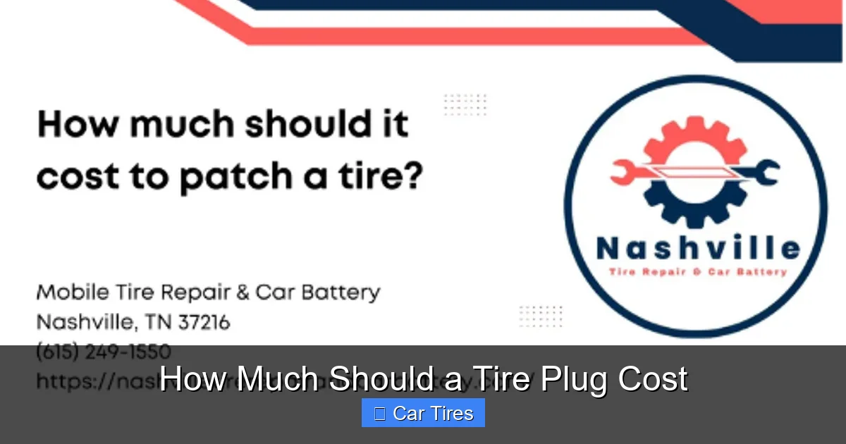 How Much Should a Tire Plug Cost