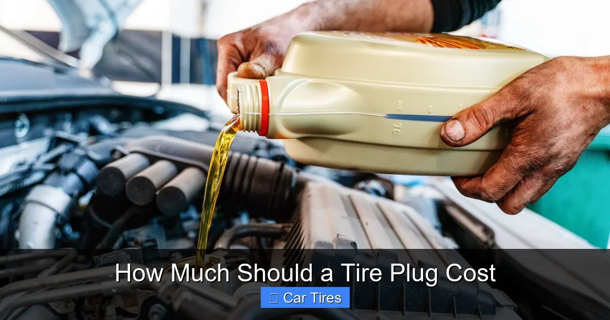 How Much Should a Tire Plug Cost