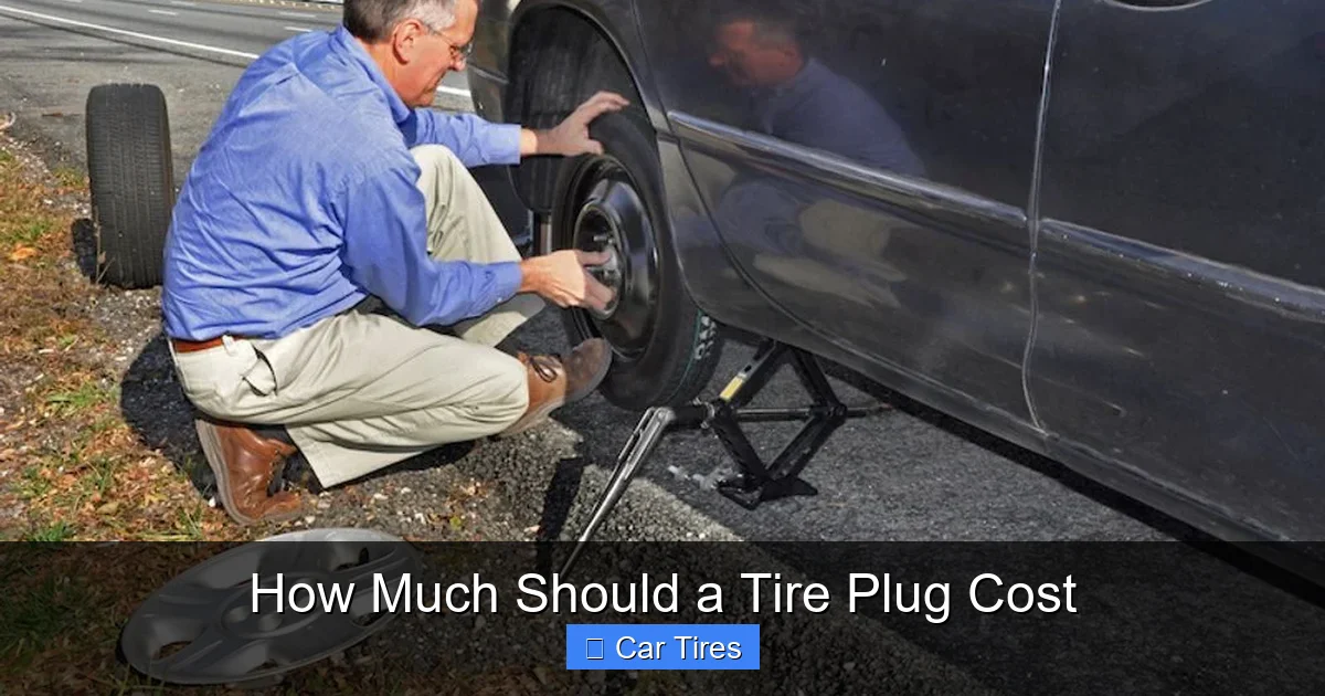 How Much Should a Tire Plug Cost