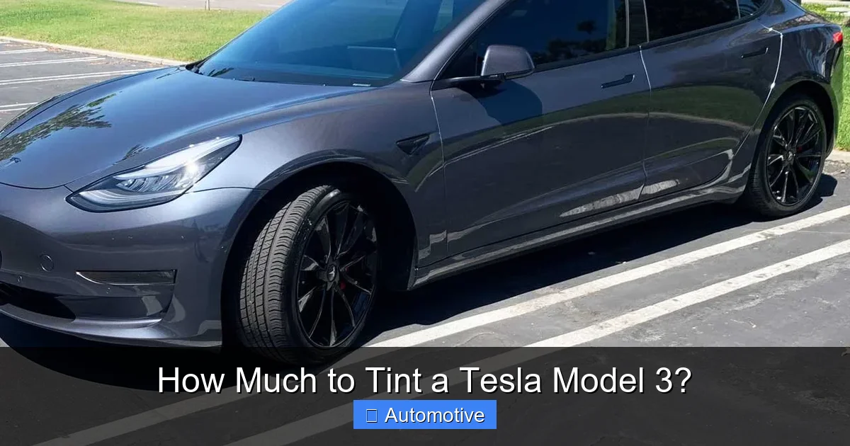 How Much to Tint a Tesla Model 3?