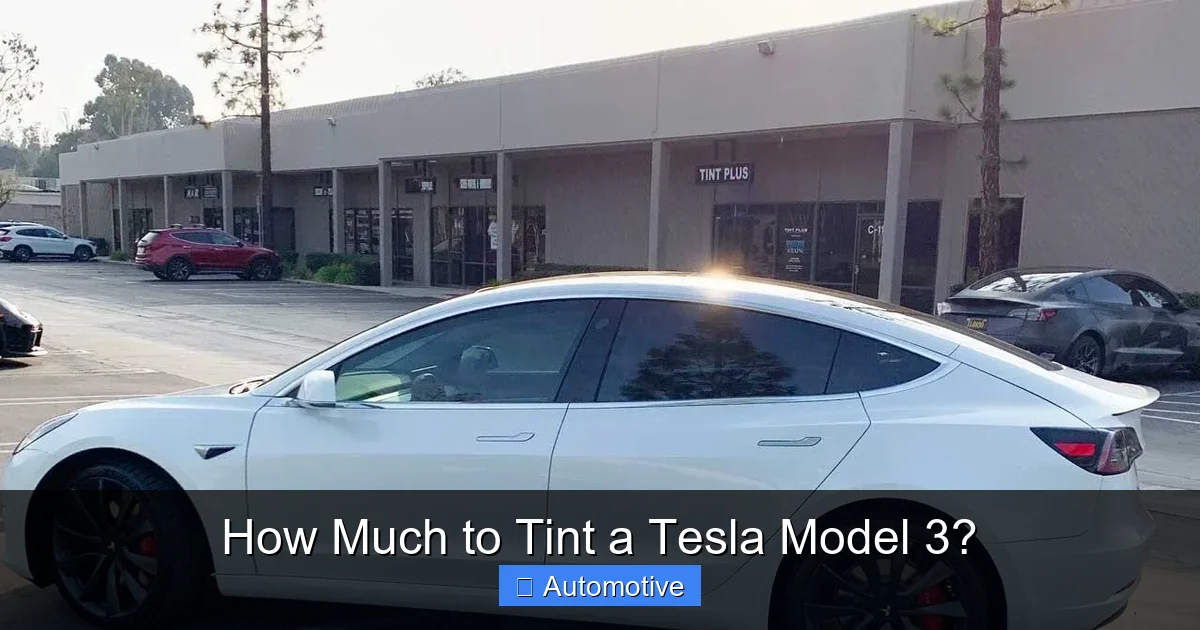 How Much to Tint a Tesla Model 3?