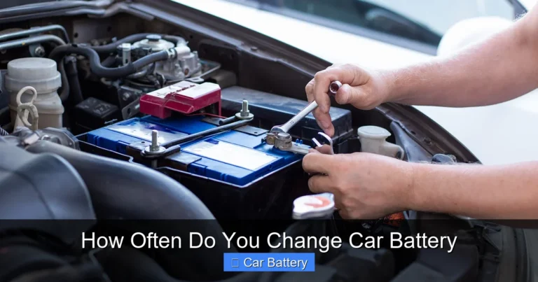 How Often Do You Change Car Battery