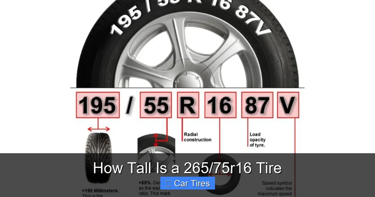 How Tall Is a 265/75r16 Tire
