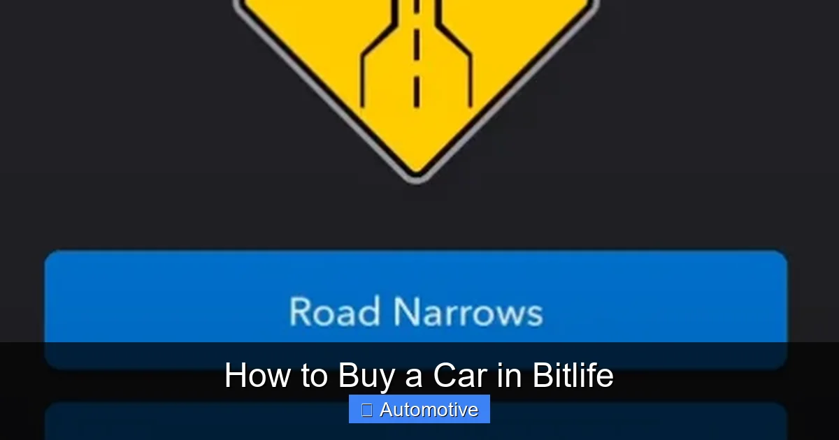How to Buy a Car in Bitlife