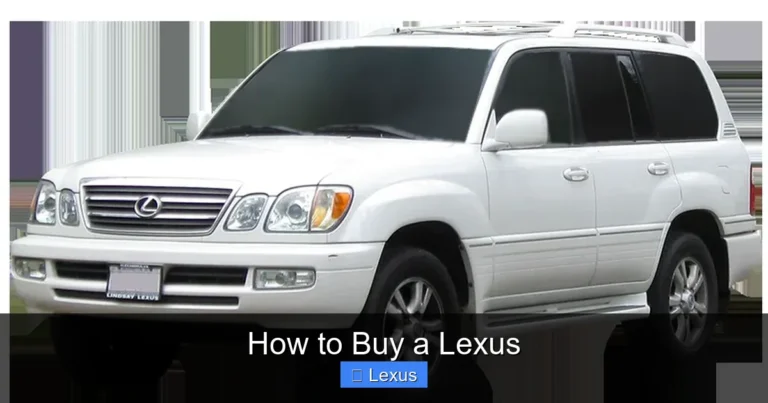 How to Buy a Lexus