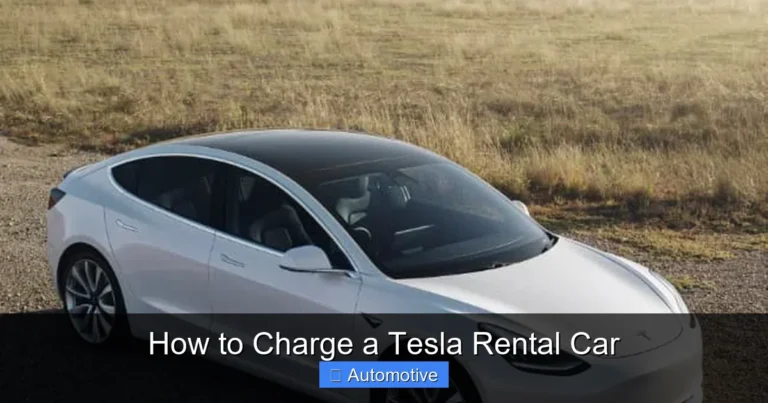 How to Charge a Tesla Rental Car