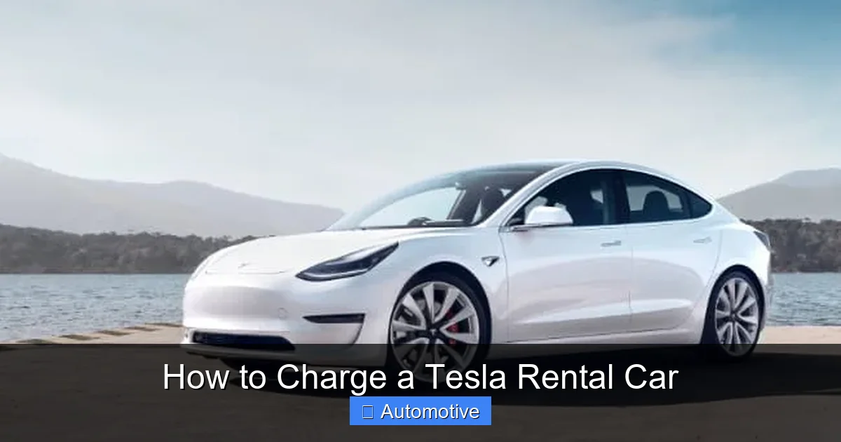 How to Charge a Tesla Rental Car