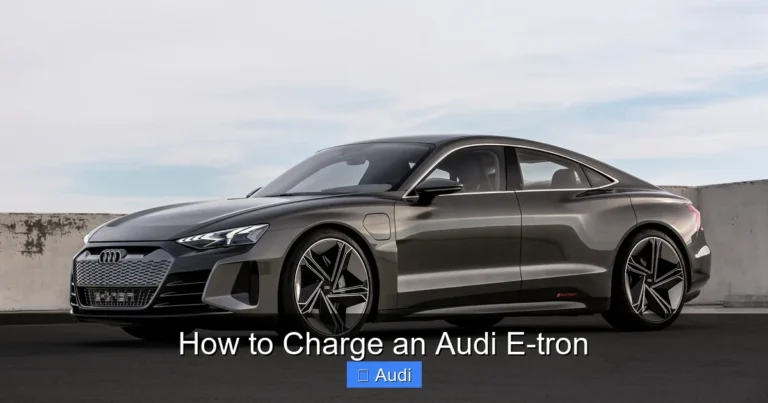 How to Charge an Audi E-tron