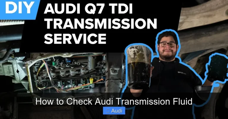 How to Check Audi Transmission Fluid