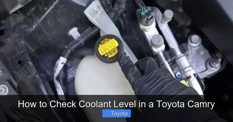 How to Check Coolant Level in a Toyota Camry