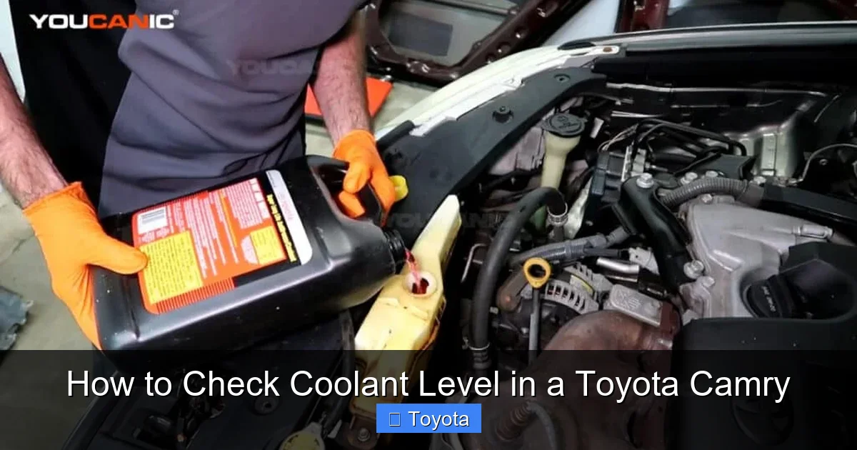How to Check Coolant Level in a Toyota Camry