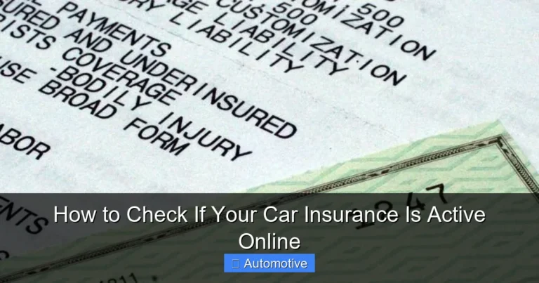How to Check If Your Car Insurance Is Active Online