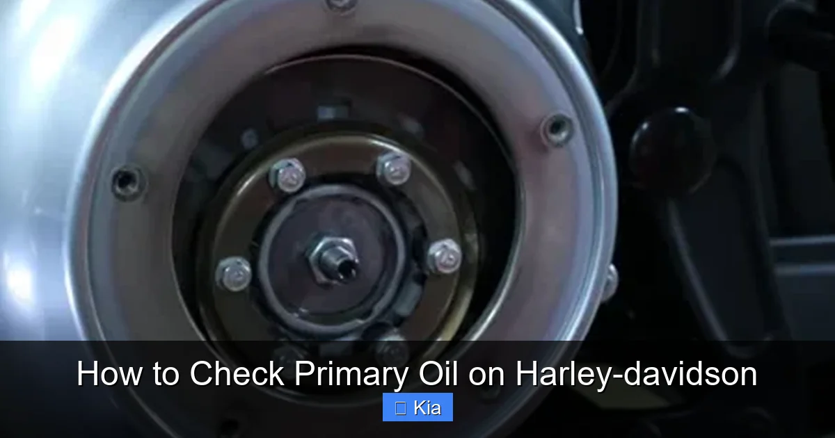 How to Check Primary Oil on Harley-davidson