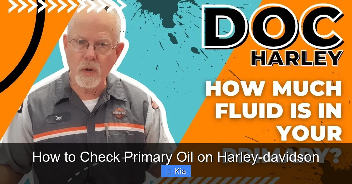 How to Check Primary Oil on Harley-davidson