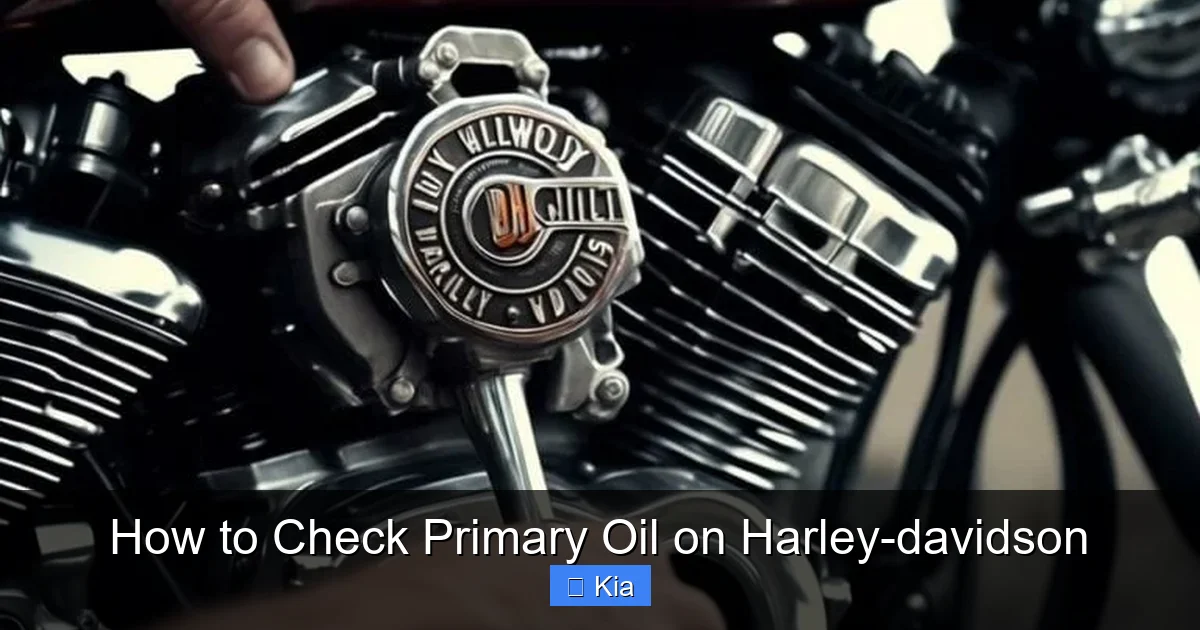 How to Check Primary Oil on Harley-davidson