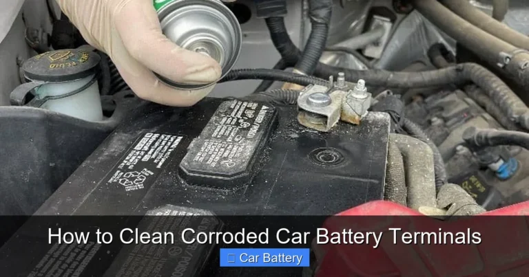 How to Clean Corroded Car Battery Terminals