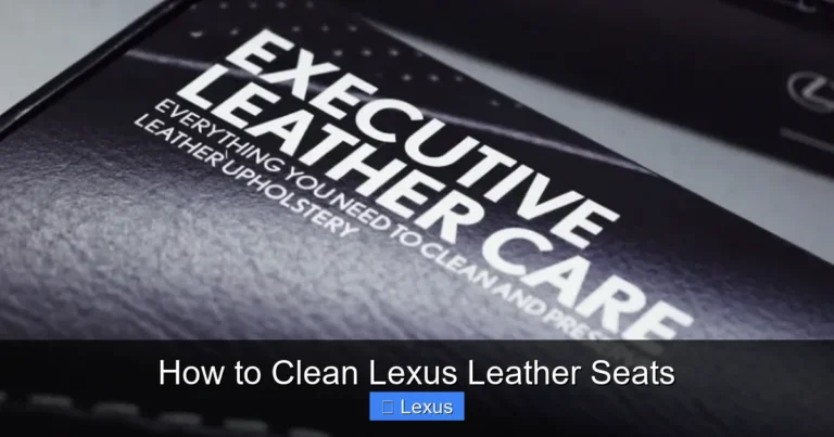 How to Clean Lexus Leather Seats