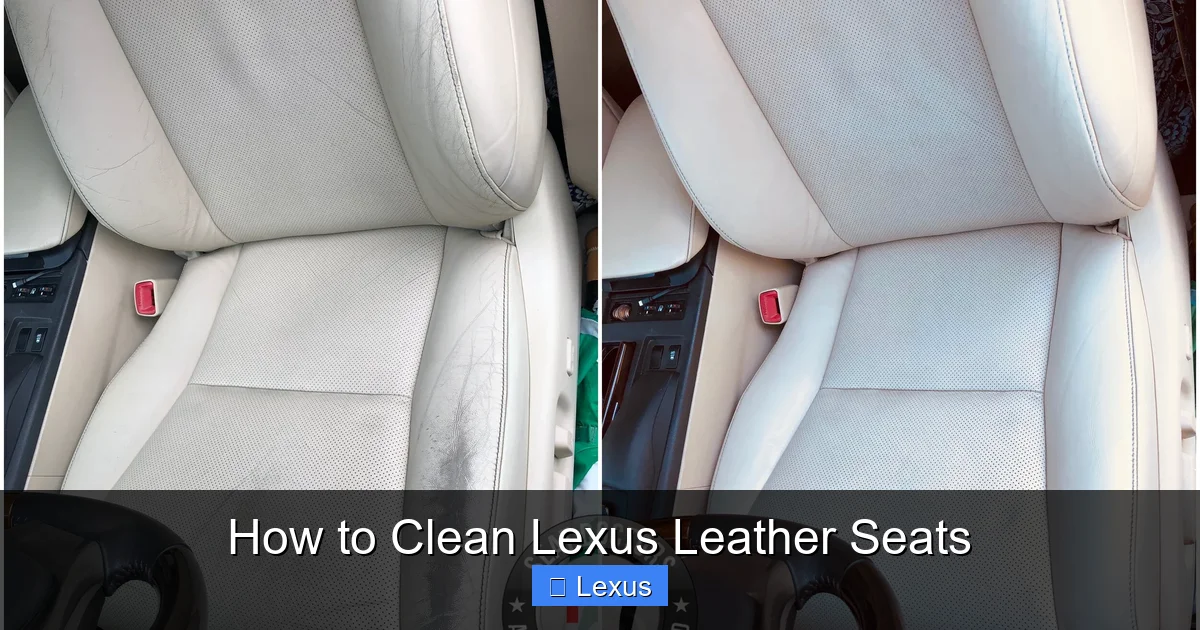 How to Clean Lexus Leather Seats