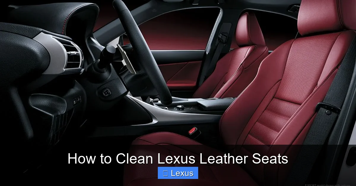 How to Clean Lexus Leather Seats
