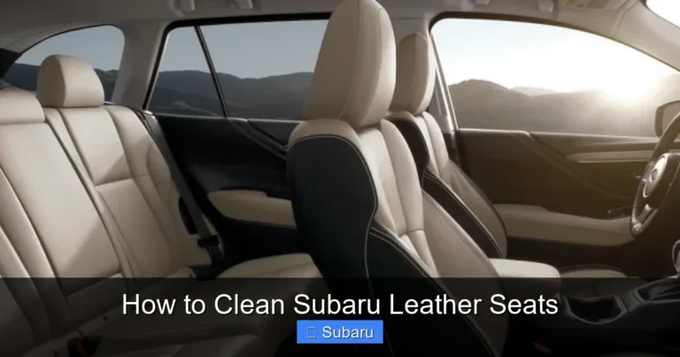How to Clean Subaru Leather Seats
