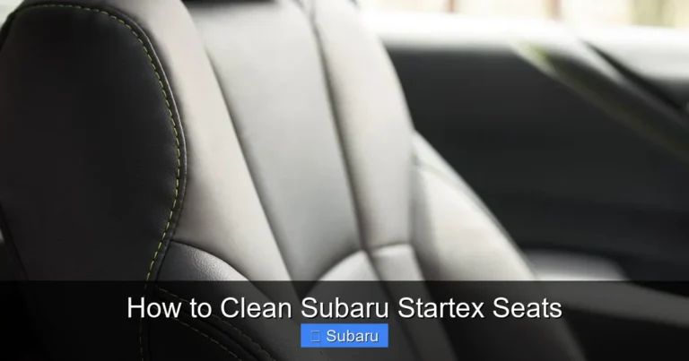 How to Clean Subaru Startex Seats