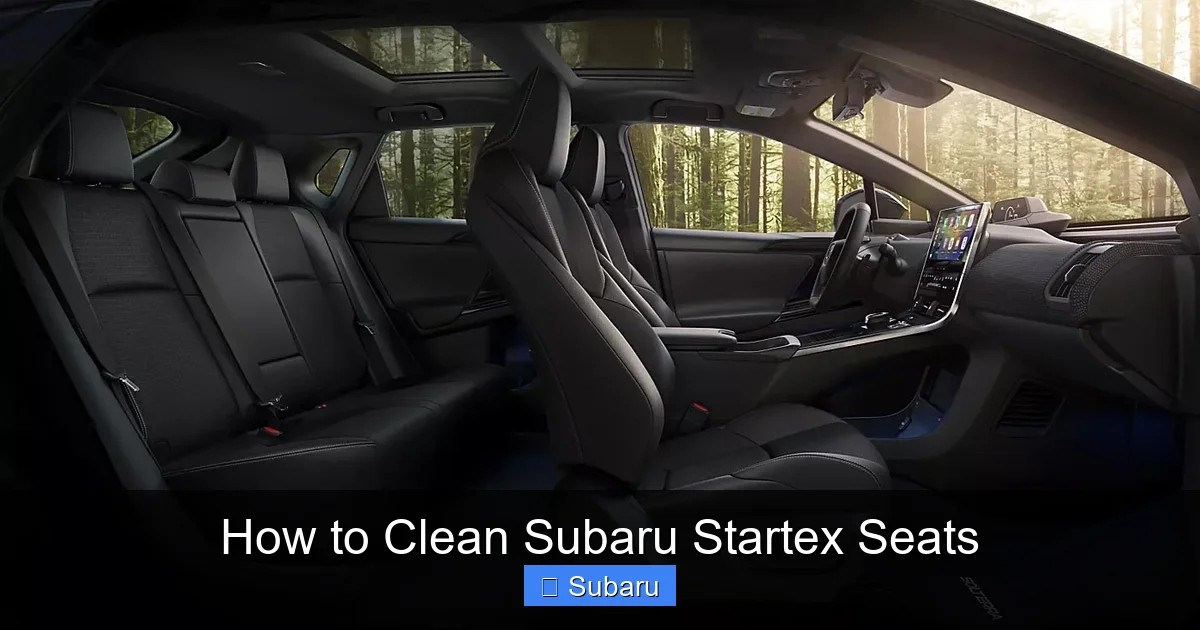 How to Clean Subaru Startex Seats