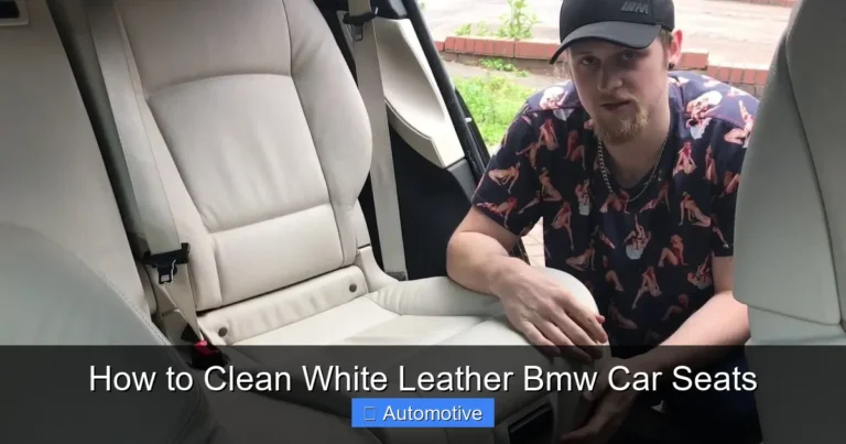 How to Clean White Leather Bmw Car Seats