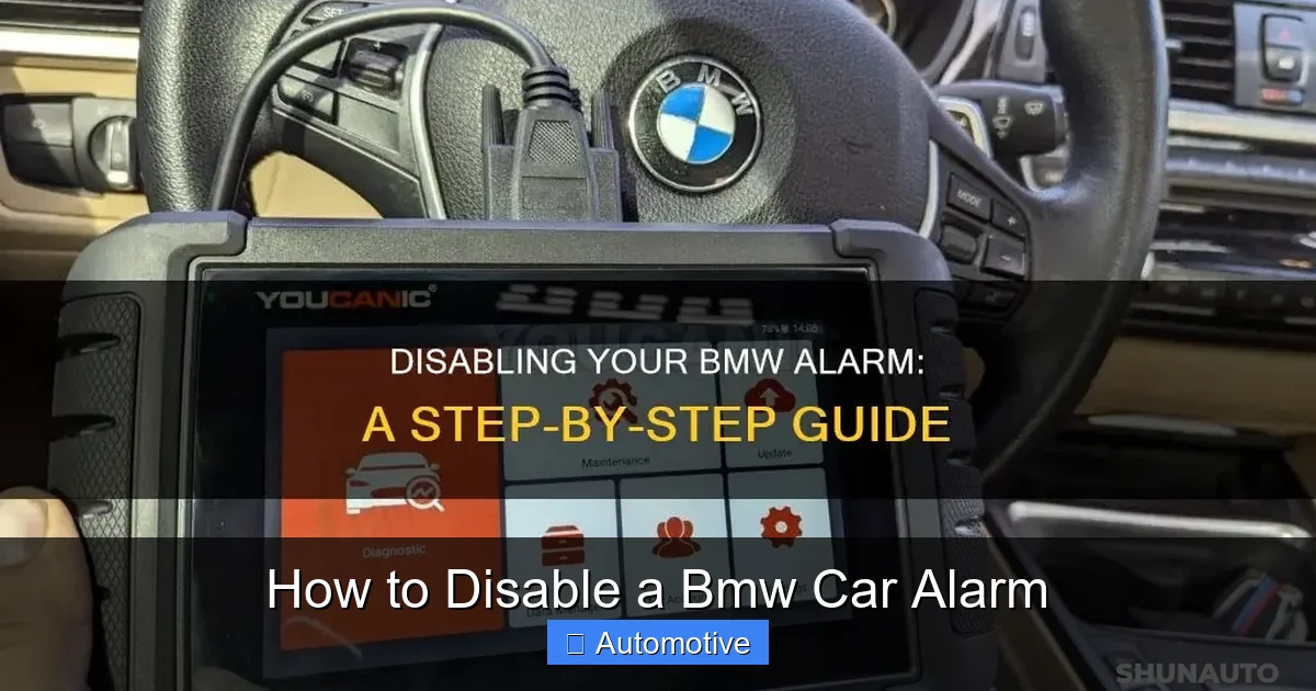 How to Disable a Bmw Car Alarm