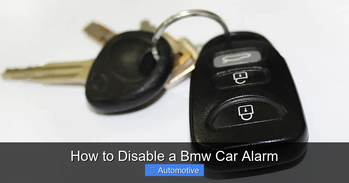 How to Disable a Bmw Car Alarm