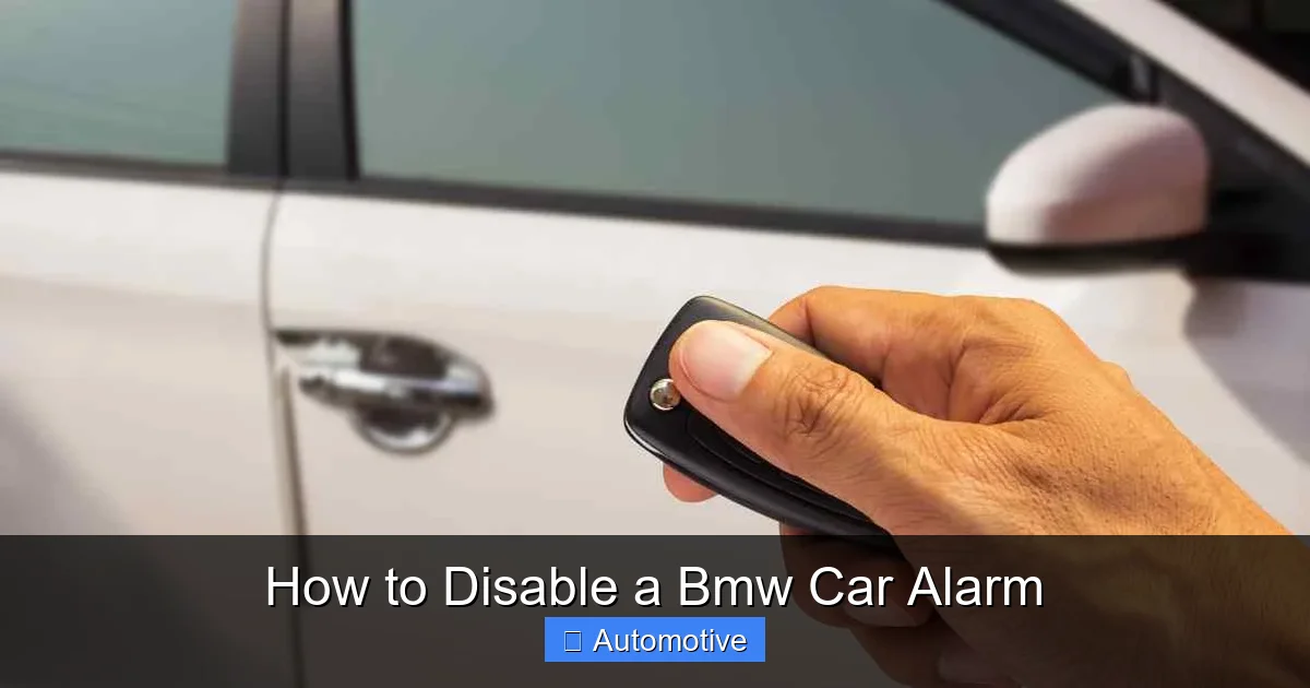 How to Disable a Bmw Car Alarm