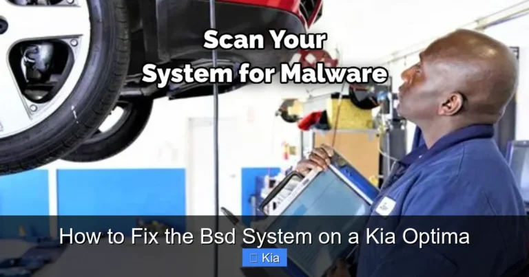 How to Fix the Bsd System on a Kia Optima