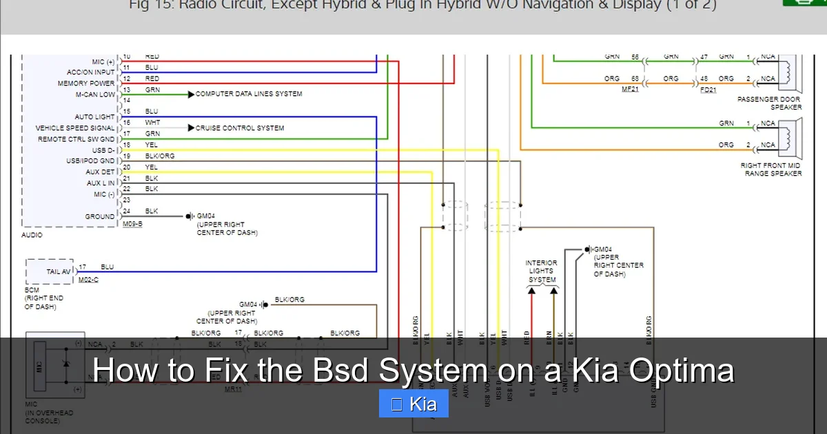 How to Fix the Bsd System on a Kia Optima