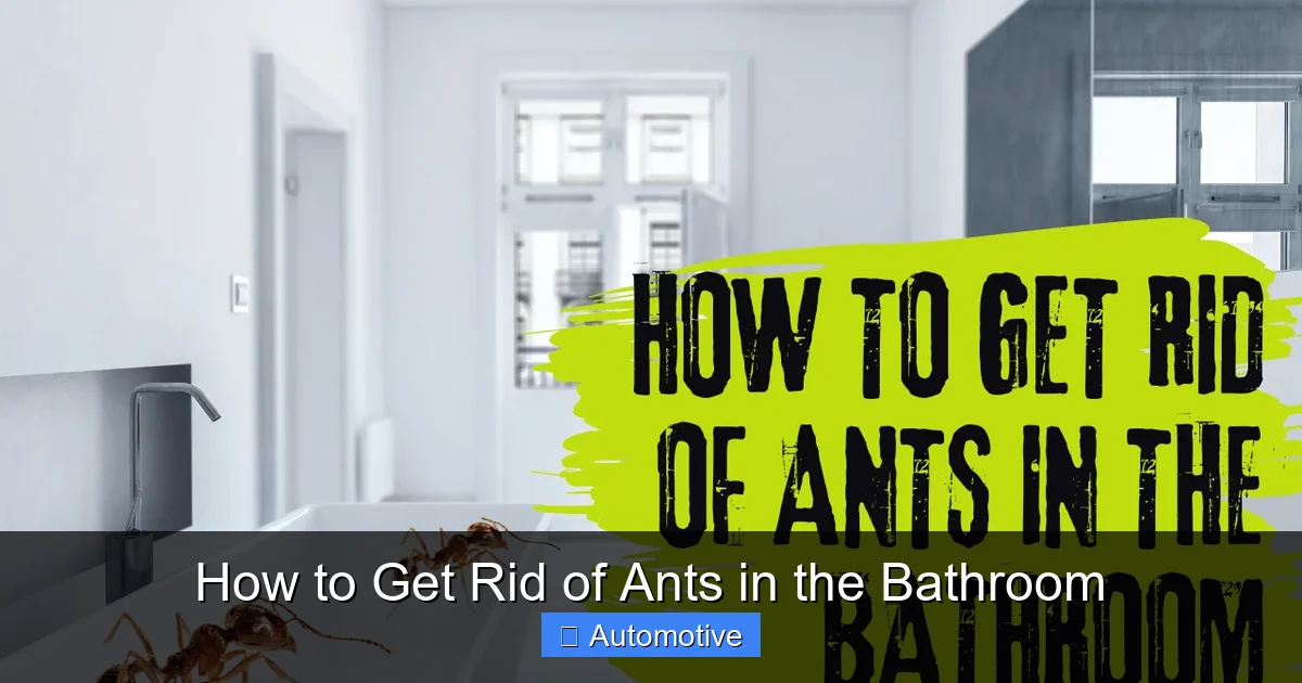 How to Get Rid of Ants in the Bathroom